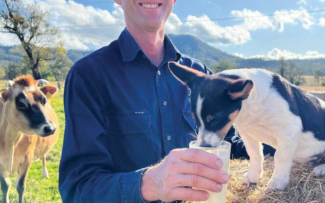 Farmer-Daves-Cream-Top-Milk