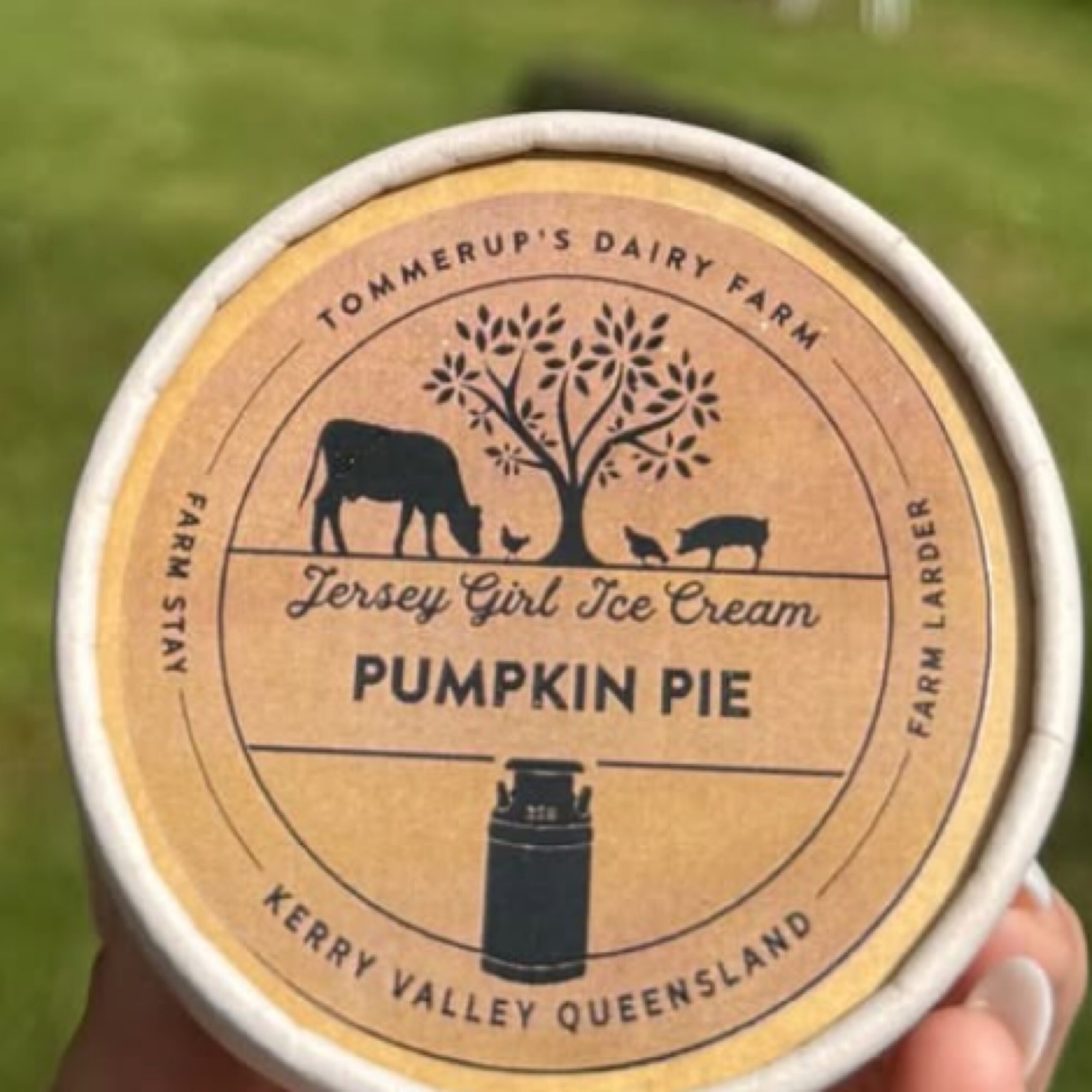 Pumpkin Pie Ice Cream