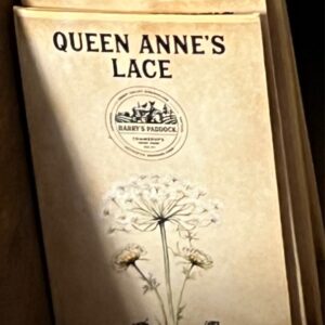 Harry's Paddock Heirloom Seeds - Queen Anne's Lace