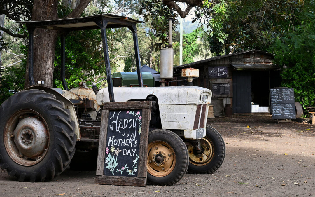 Mothers Day Picnic on the Farm