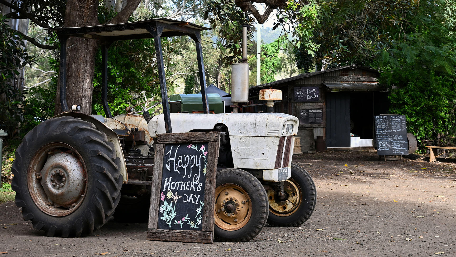 Mothers Day Picnic on the Farm