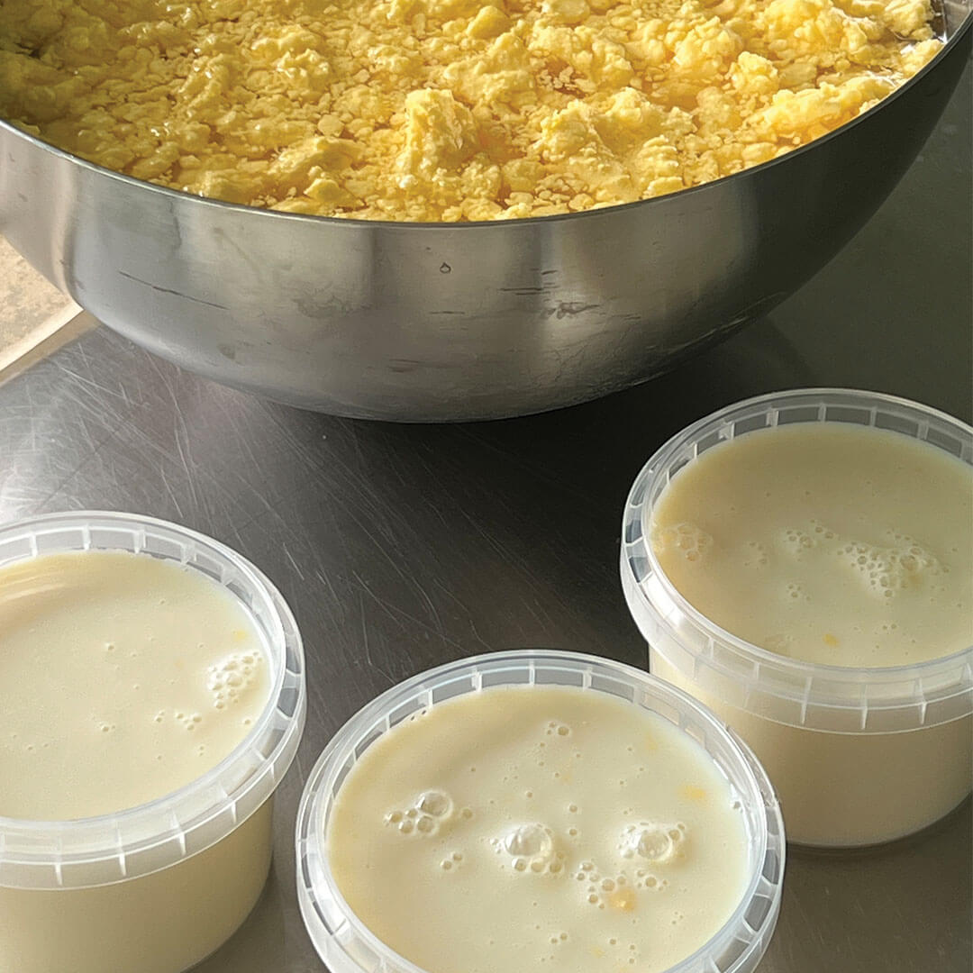 Beef-bourguignon-recipe-tommerups-dairy-farm