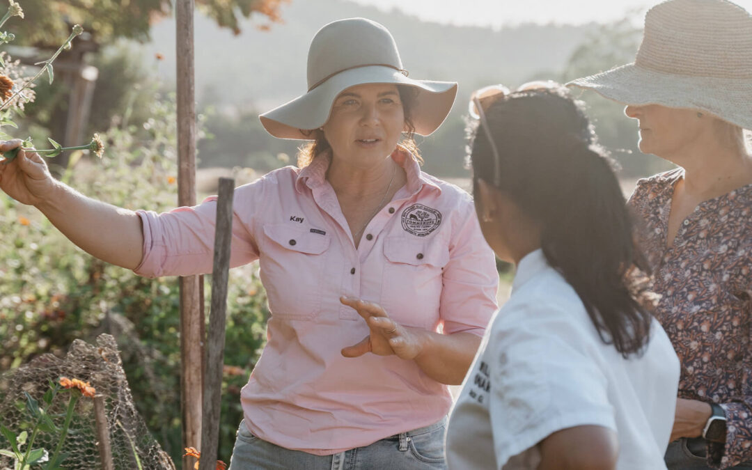 Farm to Table Tour