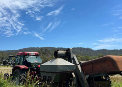 Harvesting Hellfire Wheat Harry's Paddock
